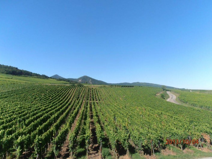 Location de vacances - Gîte à Hunawihr - Vue depuis la cuisine/salon.