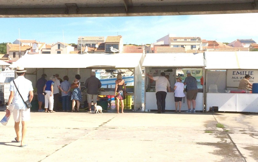 Location de vacances - Appartement à Martigues - Marché au Poisson tous les matins à Carro 5 minutes en voiture