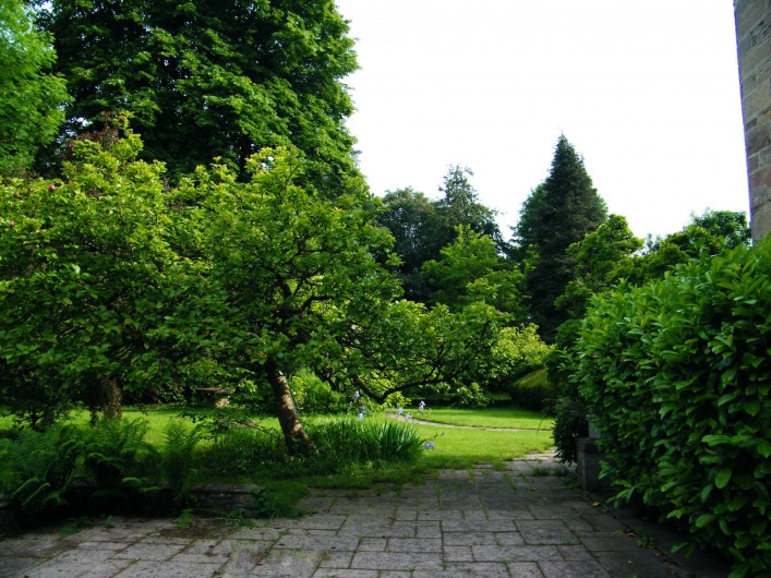 Location de vacances - Appartement à Luxeuil-les-Bains