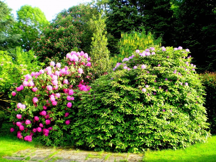 Location de vacances - Appartement à Luxeuil-les-Bains