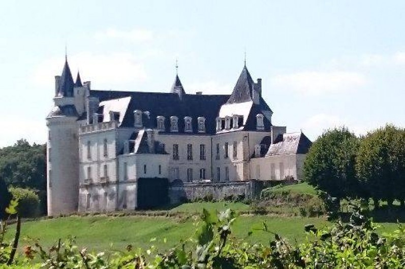 Location de vacances - Roulotte à La Chapelle-Blanche-Saint-Martin - Le Château de Grillemont à la Chapelle Blanche St Martin (37)