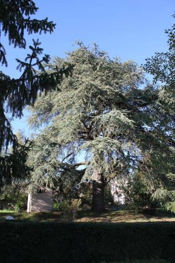 Location de vacances - Gîte à Thenon
