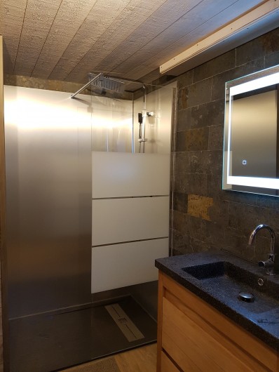 Location de vacances - Villa à La Bresse - Salle d'eau