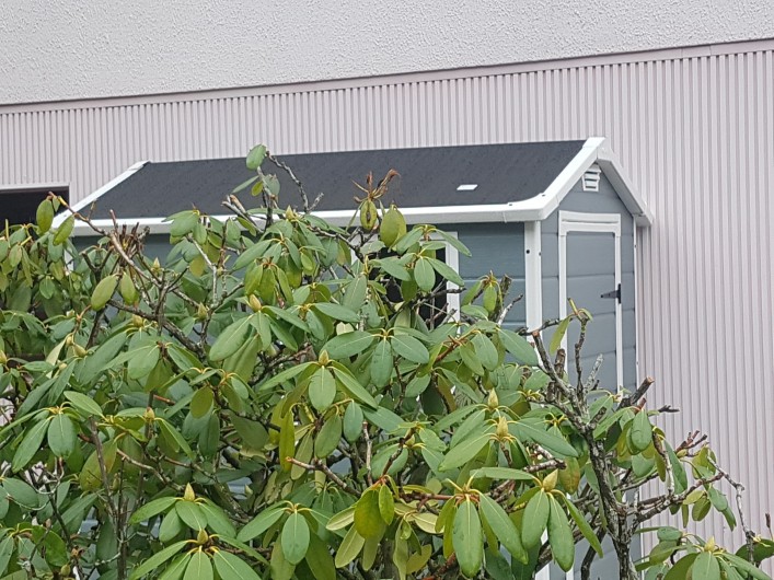 Location de vacances - Villa à La Bresse - Extérieur