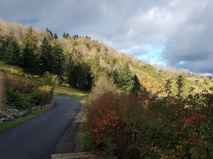 Location de vacances - Villa à La Bresse - La croix des moinats
