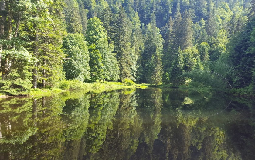 Location de vacances - Villa à La Bresse - Etang de Sèchemer