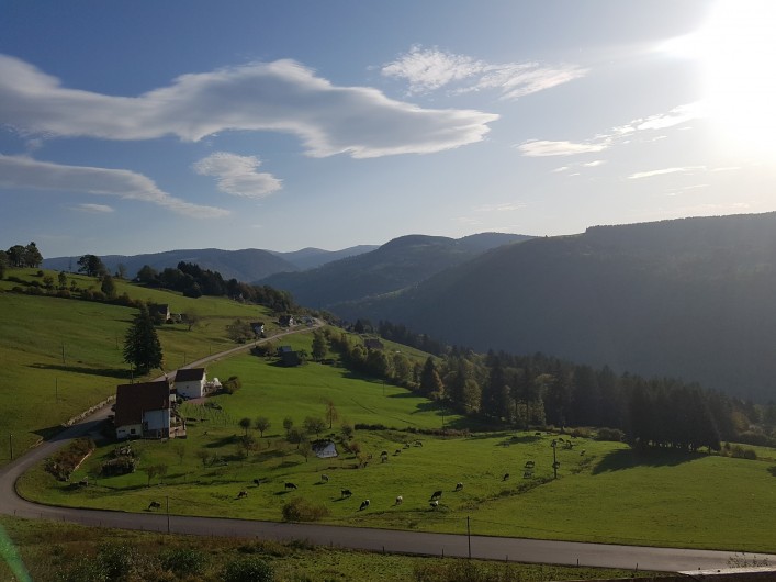 Location de vacances - Villa à La Bresse - La crois des moinats