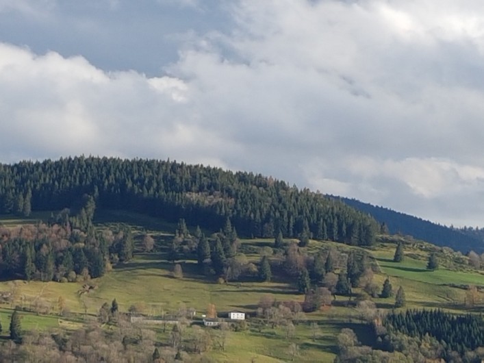 Location de vacances - Villa à La Bresse - La Bresse