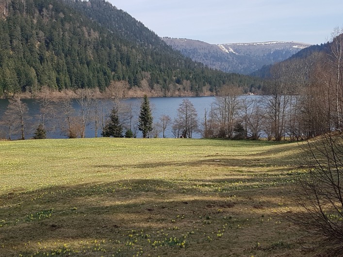 Location de vacances - Villa à La Bresse - Xonrupt-Longemer