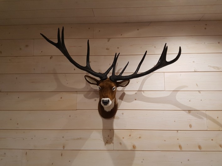 Location de vacances - Villa à La Bresse - Couloir