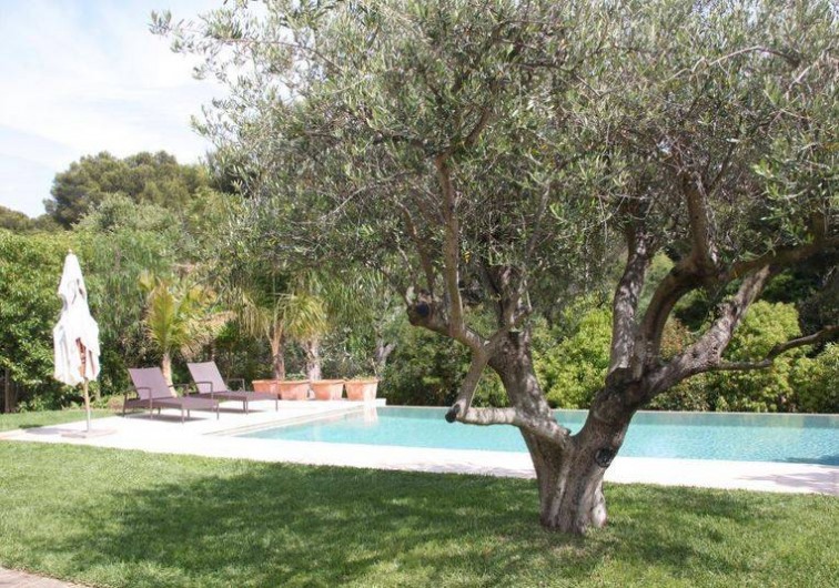 Location de vacances - Appartement à Bormes-les-Mimosas