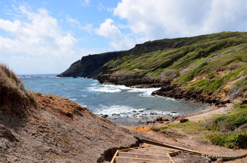 Location de vacances - Studio à Le Robert - La presqu'île de la Caravelle , ses falaises, sa baie du Trésor et sa mangrove