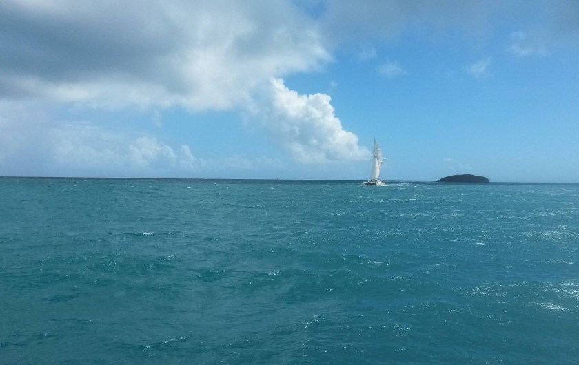Location de vacances - Studio à Le Robert - Sortie en Catamarans, les îlets et la Baignoire de Joséphine