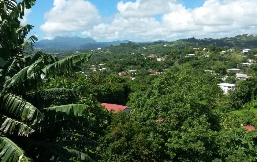 Location de vacances - Studio à Le Robert - Les Pitons du Carbets au loin et la campagne environnante, une position dominant