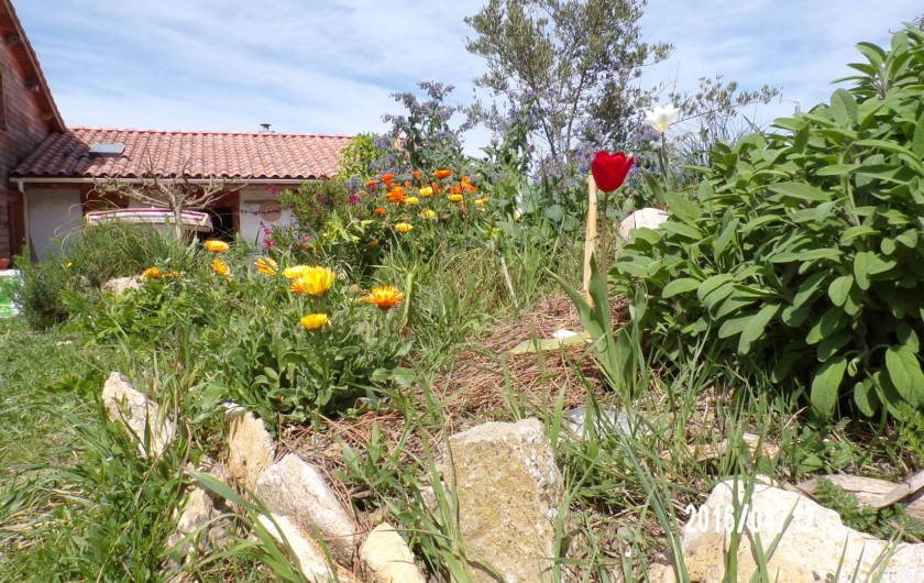 Location de vacances - Maison - Villa à Bellegarde-du-Razès