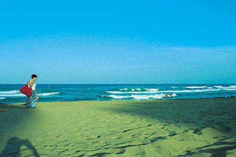 Location de vacances - Appartement à Torrevieja - Paya Zénia