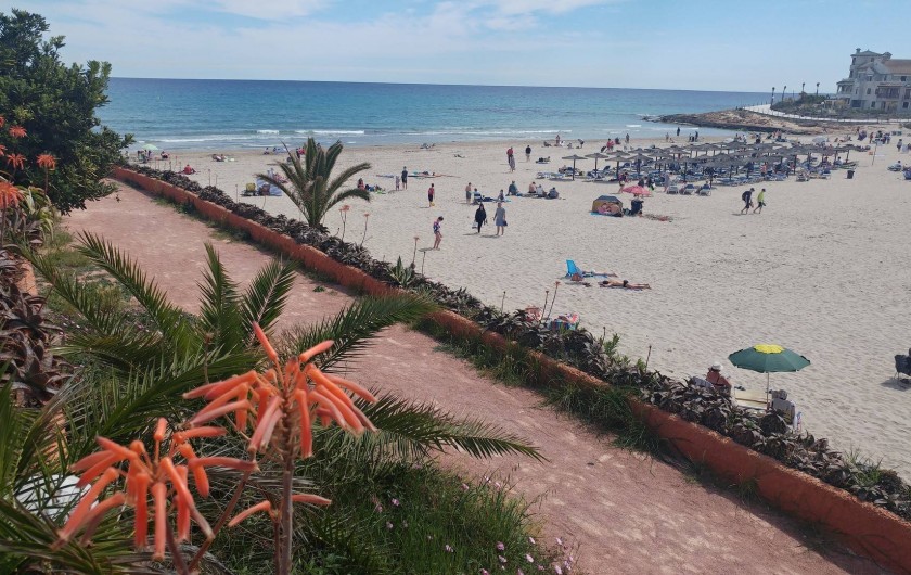 Location de vacances - Appartement à Torrevieja - Plages