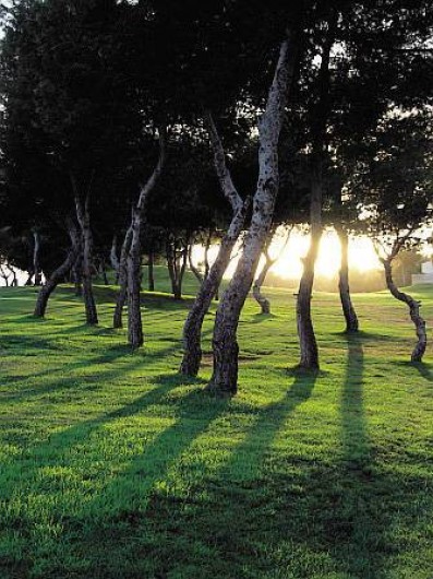 Location de vacances - Appartement à Torrevieja - Golfs