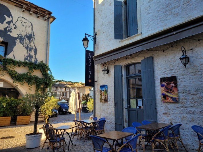Location de vacances - Gîte à La Sauvetat-du-Dropt