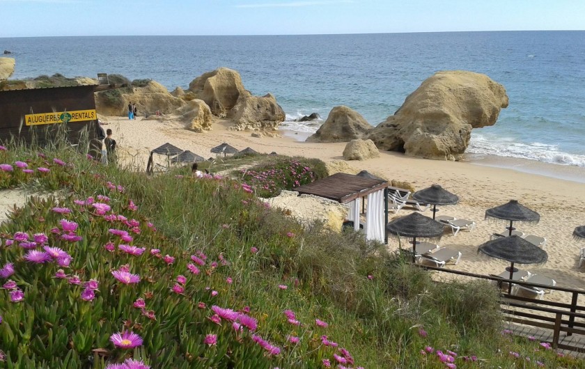 Location de vacances - Appartement à Albufeira - PLAGE SAO RAFAÊL A 500 M