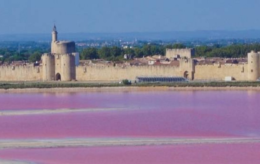 Location de vacances - Appartement à Saint-Gilles - AIGUES MORTES