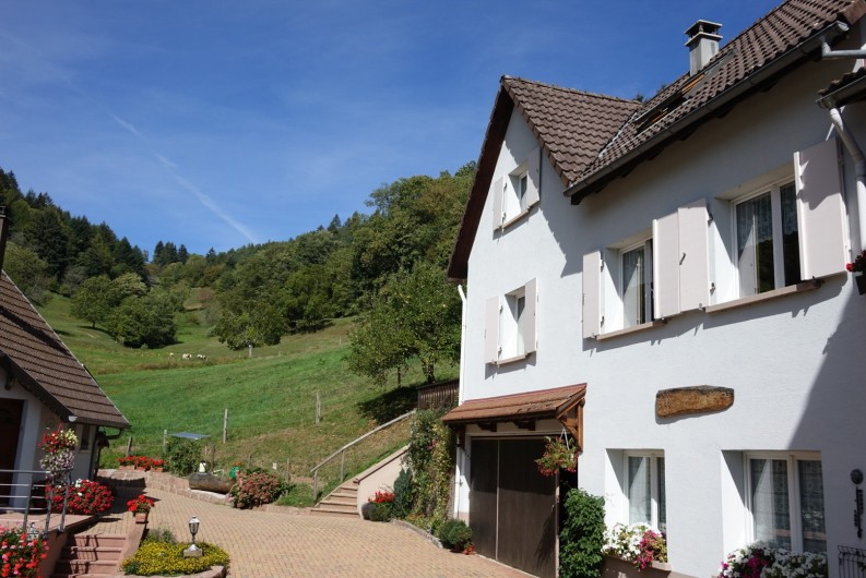Location de vacances - Gîte à Hohrod - VUE SUR LE VALLON