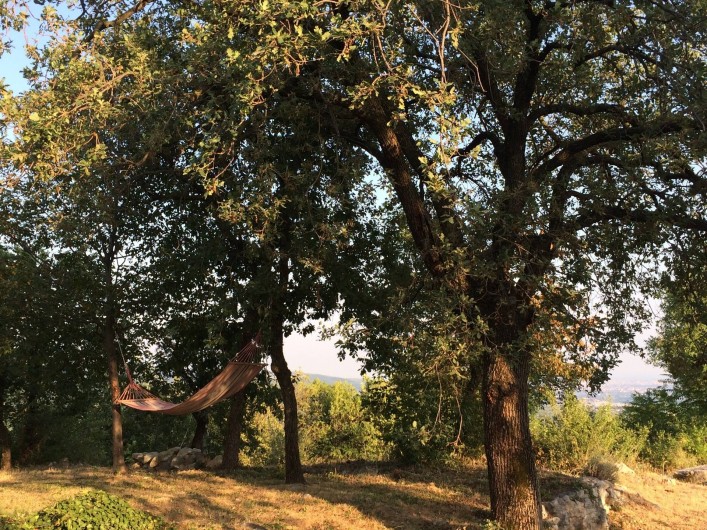 Location de vacances - Maison - Villa à Marano di Valpolicella - Zone des hamacs au bout de la première pelouse, vue à perte de vue...