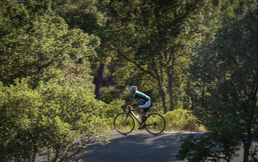 Location de vacances - Mas à Bagnols-en-Forêt - Pour les entousiastes du vélo...il y a des routes magnifiques.