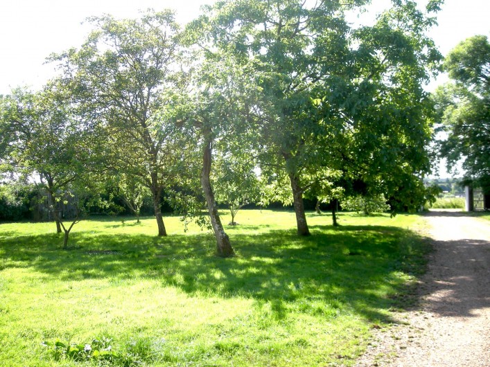 Location de vacances - Château - Manoir à Boissy-lès-Perche - Jardin