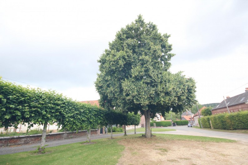 Location de vacances - Gîte à Sept-Meules