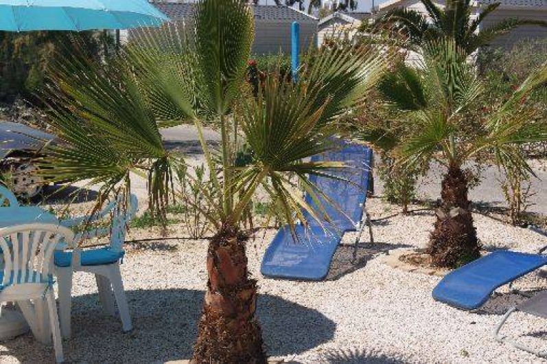 Location de vacances - Camping à Hyères