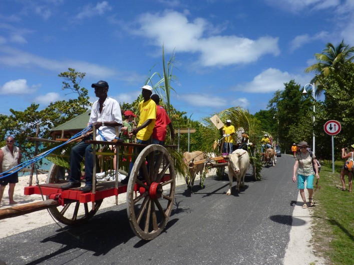 Location de vacances - Villa à Grand-Bourg - un défilé de chars à boeufs