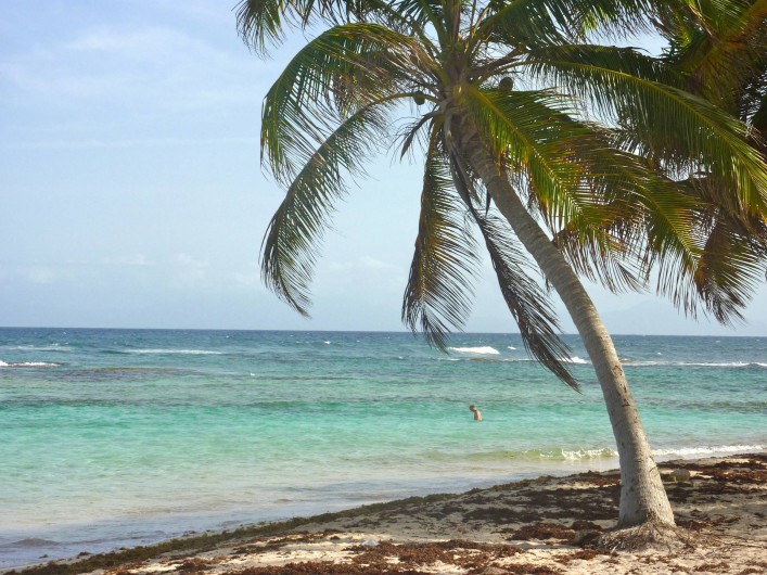 Location de vacances - Villa à Grand-Bourg - Plage  à 500m