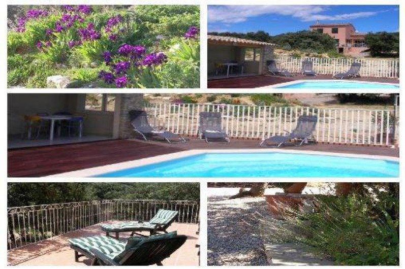 Location de vacances - Villa à Roche-Saint-Secret-Béconne - Vue des terrasses et de la piscine.