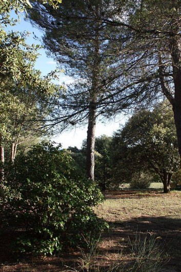 Location de vacances - Villa à Cucuron - Derrière la maison