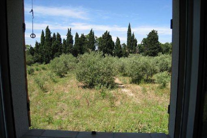 Location de vacances - Maison - Villa à Saint-Rémy-de-Provence