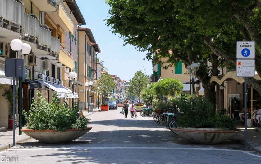 Location de vacances - Maison - Villa à Querceta - Forte dei Marmi (cer la e)ntre)