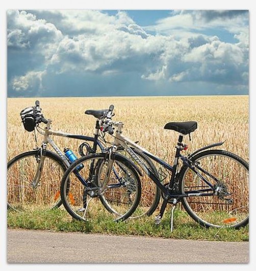 Location de vacances - Chambre d'hôtes à Le Boupère