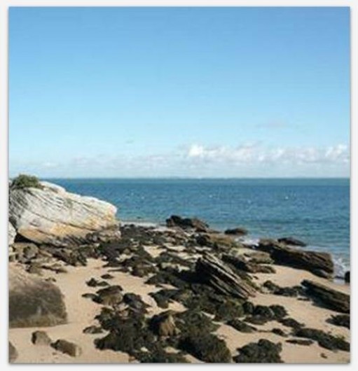 Location de vacances - Chambre d'hôtes à Le Boupère