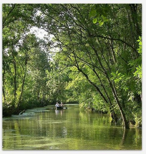 Location de vacances - Chambre d'hôtes à Le Boupère