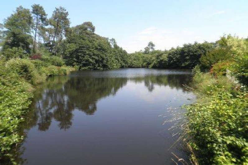 Location de vacances - Gîte à Pouydesseaux