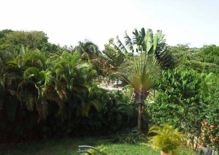 Location de vacances - Appartement à Le Gosier