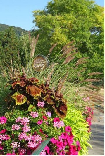 Location de vacances - Hôtel - Auberge à Wissembourg