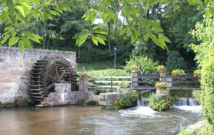 Location de vacances - Hôtel - Auberge à Wissembourg
