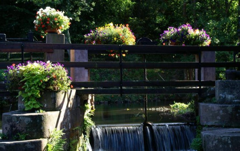 Location de vacances - Hôtel - Auberge à Wissembourg