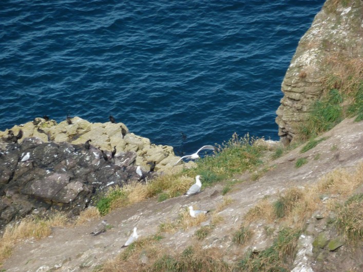 Location de vacances - Gîte à Pléven - Cap Fréhel