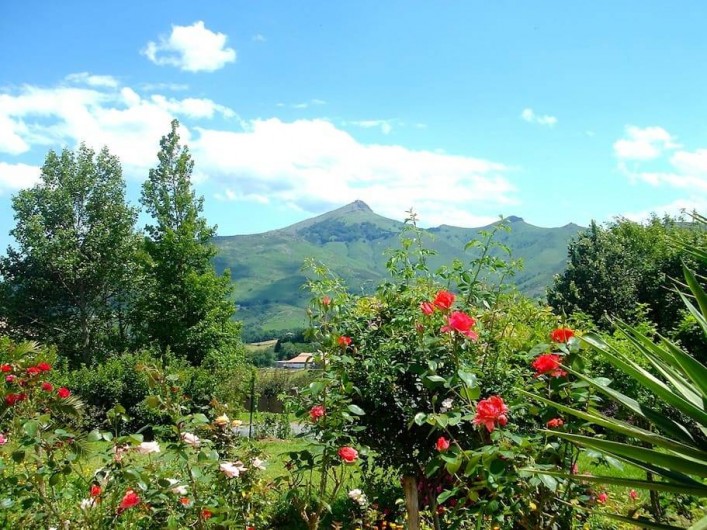 Location de vacances - Appartement à Urrugne