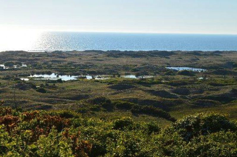 Location de vacances - Maison - Villa à Les Moitiers-d'Allonne - Dunes d'Hatainville . Site protégé