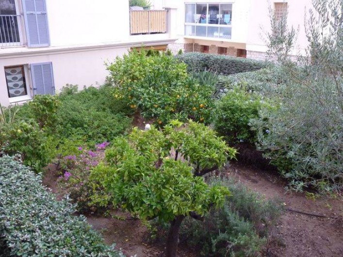 Location de vacances - Appartement à Hyères