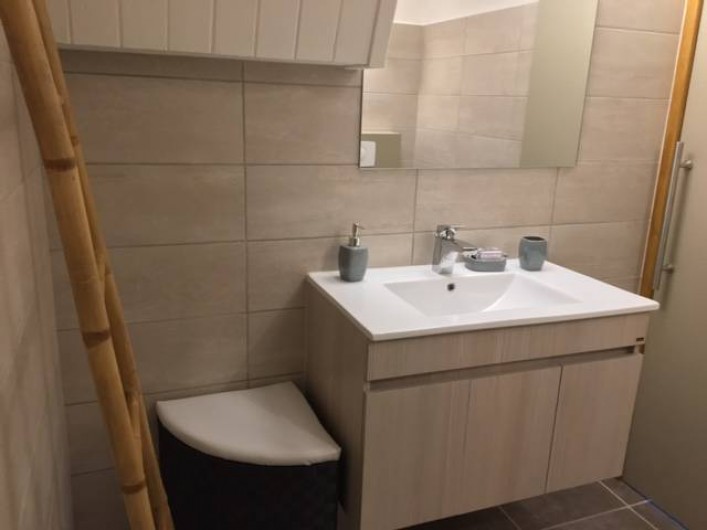 Location de vacances - Studio à Les Trois-Îlets - Salle d'eau